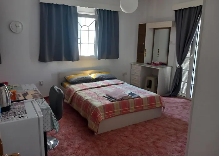 Vasilis House